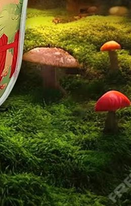 Barracas infantis para bebês,  - Kids Outdoor Hut avaliação e preço