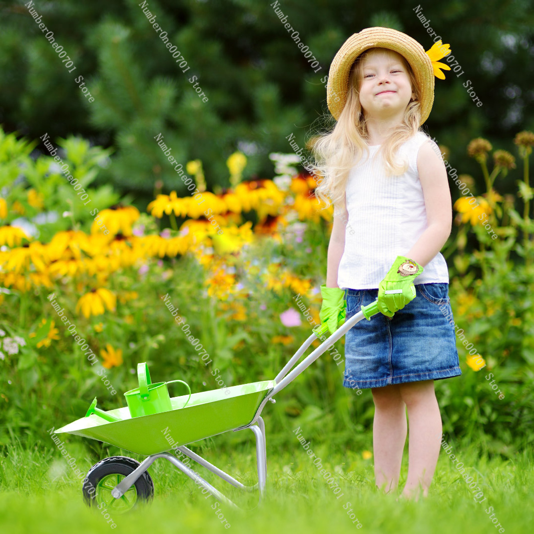 Carrinho de Mão Infantil para  - Kids Outdoor Toys avaliação e preço